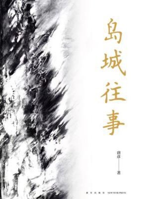 cover image of 岛城往事
